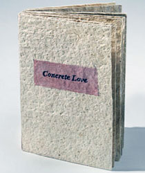 Concrete Love book