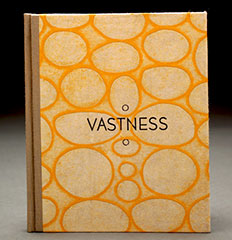 Vastness book