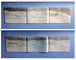 Towards a Just Landscape book