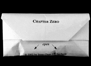 Chapter Zero book