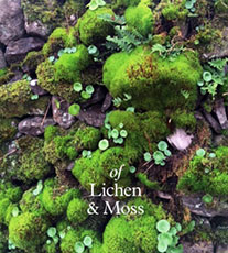 of Lichen & Moss 