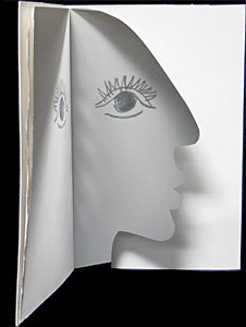 Mirror book