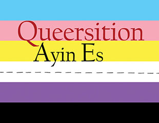 Queersition book