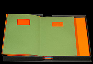 Michael Finnegin book