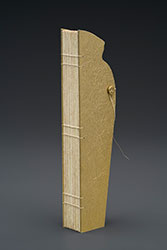 Famous Last Words book