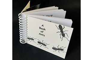 A Book of Ants book