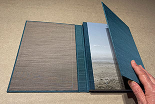 sleep walk book