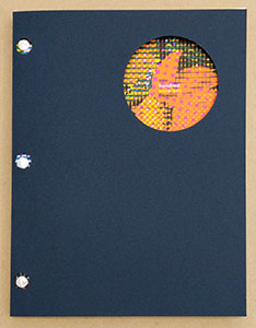 One Hundred Excellent Flowers book