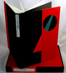 Collaged Face book