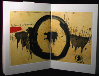 Imago book