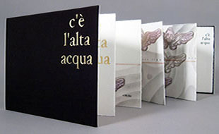 c'è l'alta acqua book