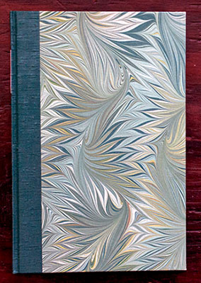 A Shape of Water book