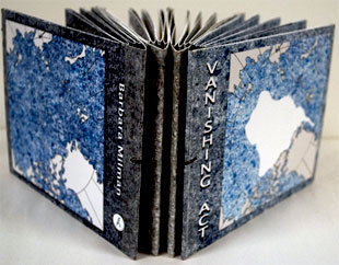 Vanishing Act book