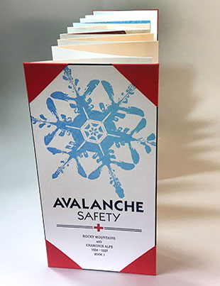 Avalanche Safety book