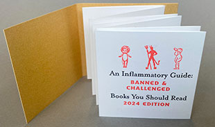 An Inflammatory guide 2024 book