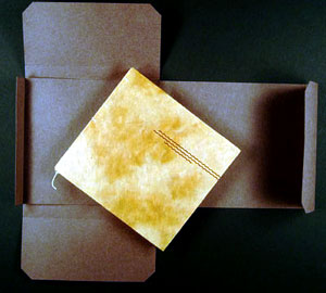 Beond the Great Stone book