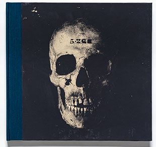 Watching Bones book
