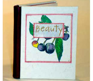 Beauty book