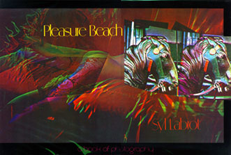 Pleasure Beach book