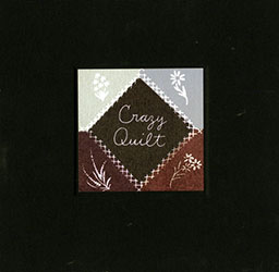 Crazy Quilt book